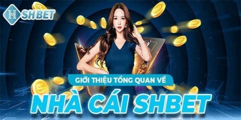 Lời khuyên từ chính sách bảo mật của nhà cái SHBET