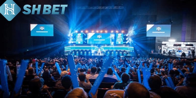 Giới thiệu tổng quan về chúng tôi