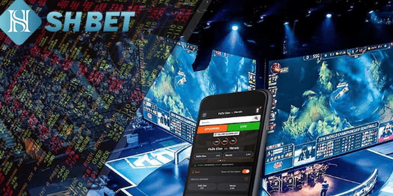 Triết lý kinh doanh về chúng tôi