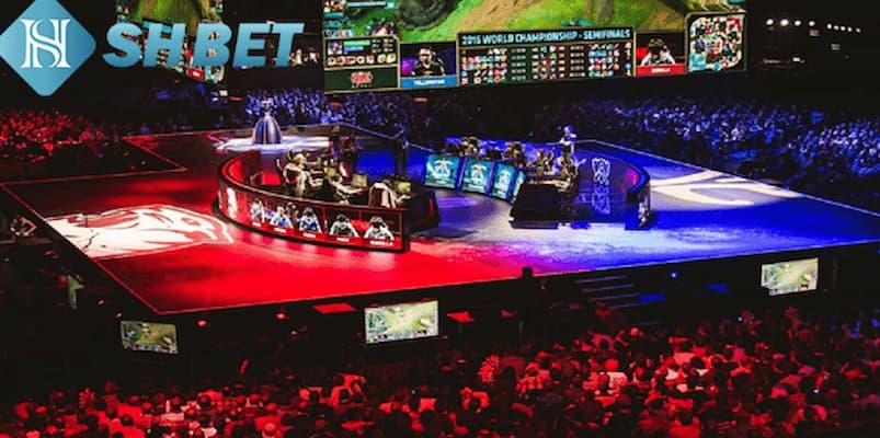 Sự đa dạng trong sản phẩm cá cược