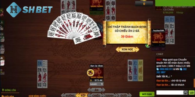 Bài chắn là gì?