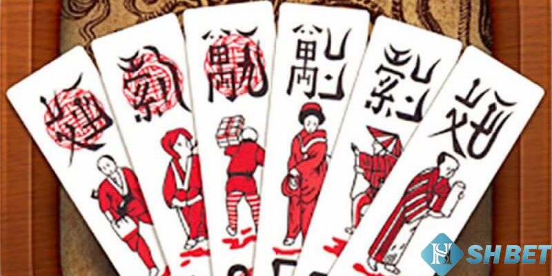 Giới thiệu về bài chắn