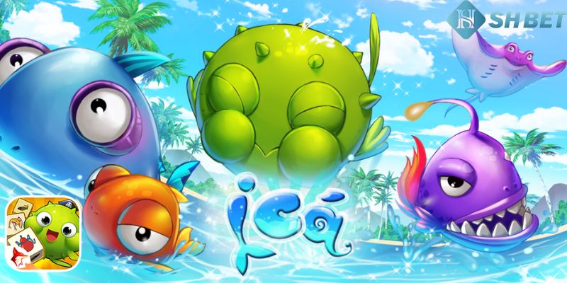 chơi iCá trên web