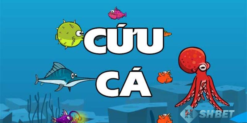 Khám phá trò chơi bắn cá - Giải trí đầy thú vị