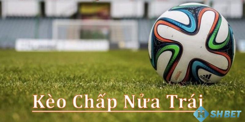 Tìm hiểu về các loại kèo chấp nửa trái phổ biến