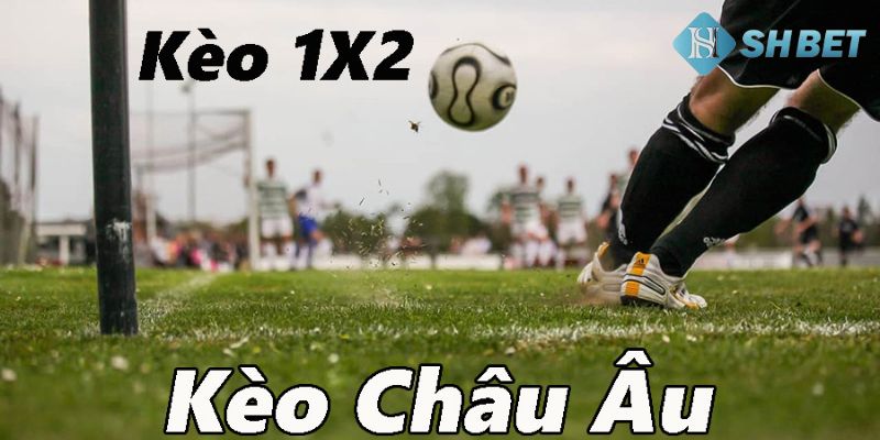 Kèo châu Âu là gì?