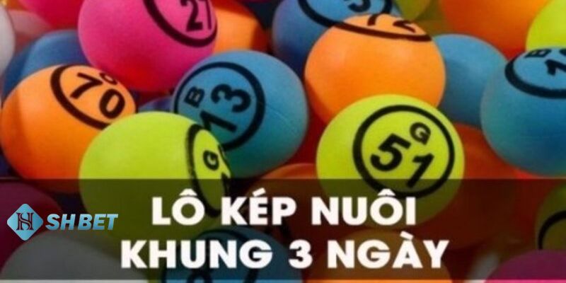 Nuôi lô kép khung 3 ngày bất bại Ưu và nhược điểm khi nuôi lô kép khung 3 ngày bất bại