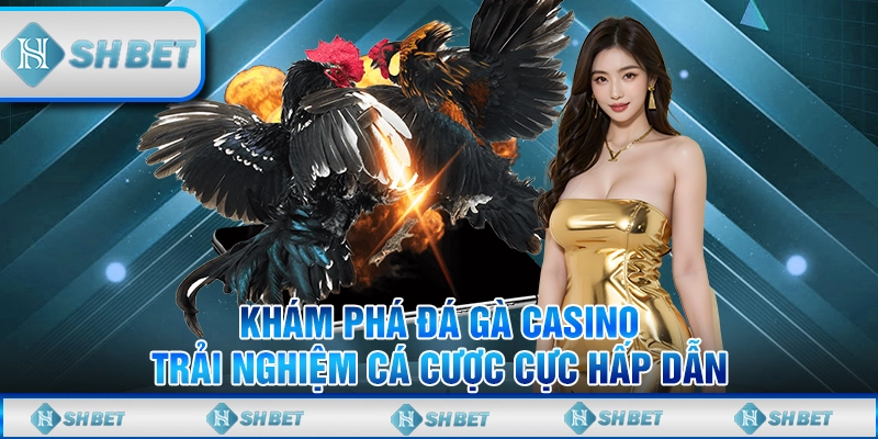 đá gà casino