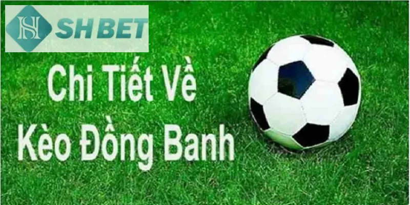 Thành viên cần áp dụng chiến lược cá cược tỷ lệ đồng banh hiệu quả