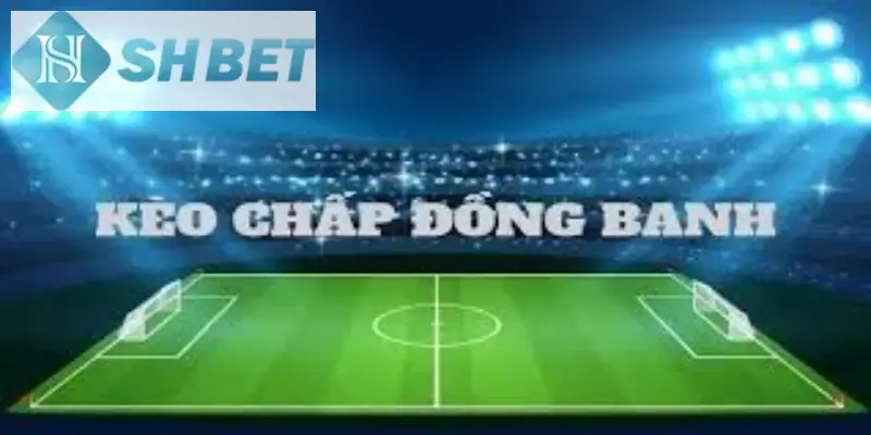 Có nhiều yếu tố áp dụng khi phân tích kèo cược đồng banh