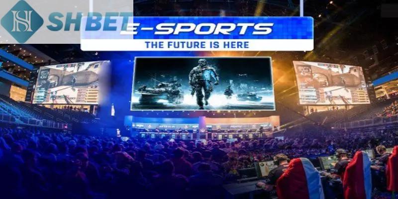 Điểm nổi bật của bộ môn thể thao cho người chơi tham khảo