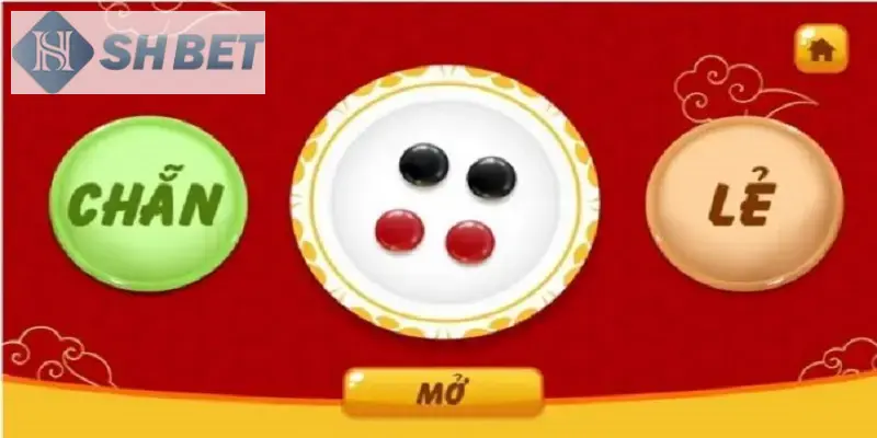 Đừng bỏ qua các tổng hợp lưu ý khi tải xóc đĩa ngay hôm nay