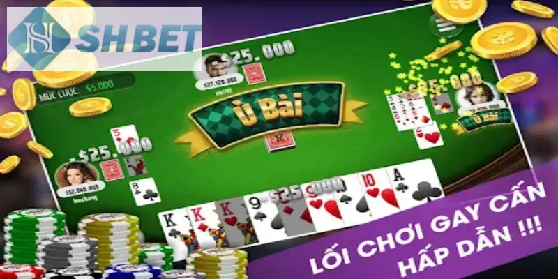 Tham gia chơi phỏm trực tuyến mỗi ngày không giới hạn