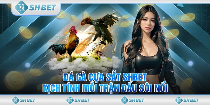 đá gà cựa sắt