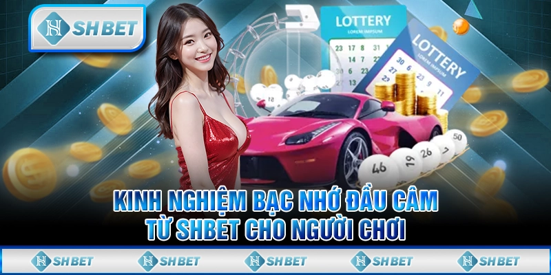 Kinh Nghiệm Bạc Nhớ Đầu Câm Từ SHBET Cho Người Chơi