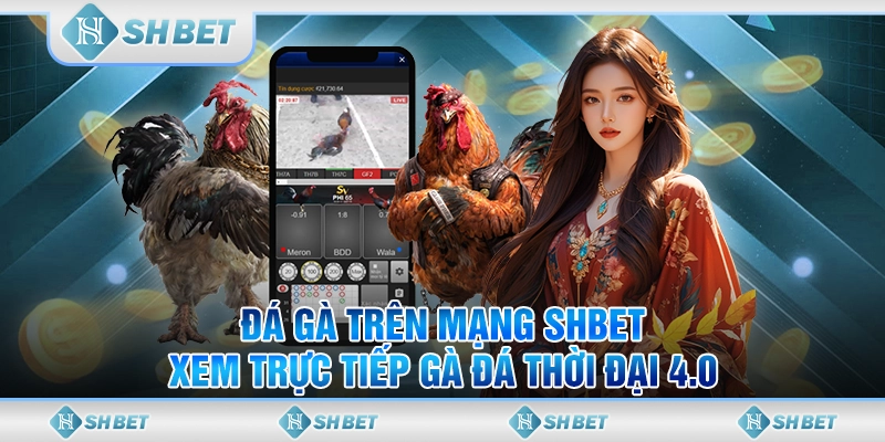 Đá Gà Trên Mạng SHBET – Xem Trực Tiếp Gà Đá Thời Đại 4.0