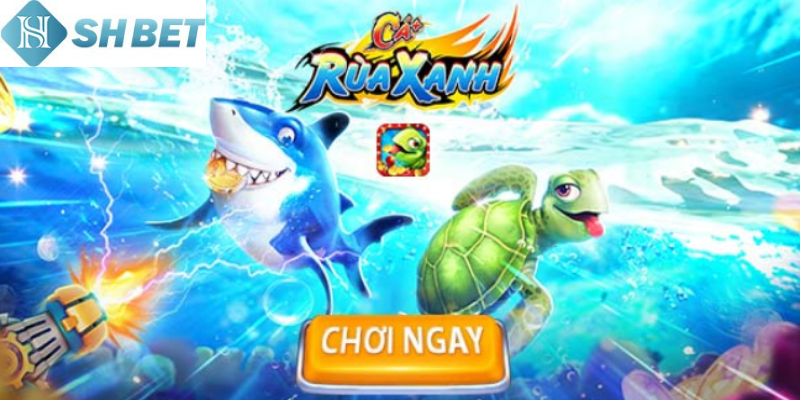 Bí kíp chinh phục đại dương