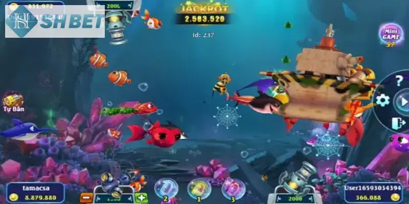 Hội viên tham gia Săn Cá Xu Vàng 777 chuẩn nhất