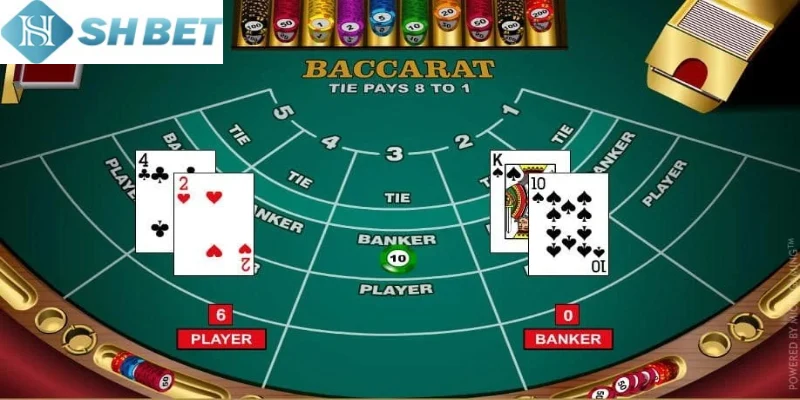 Tận dung cách đánh Baccarat tối đa mỗi ngày