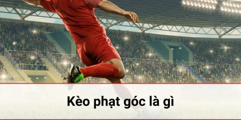 Anh em cùng tiếp thu những phân tích từ chuyên gia