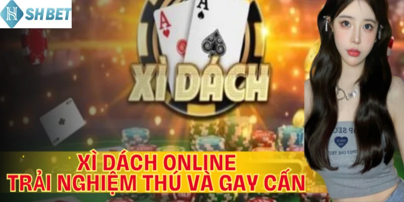 Chơi Xì dách online cực đã mỗi ngày mọi nơi