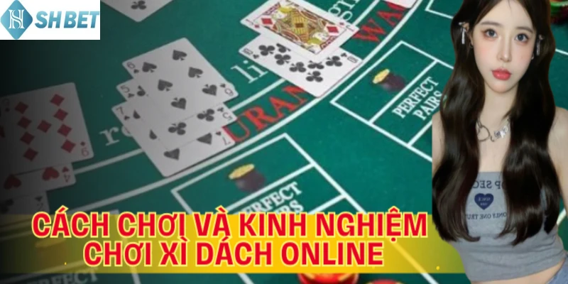 Cách chơi xì dách phiên bản online cơ bản đơn giản, dễ làm