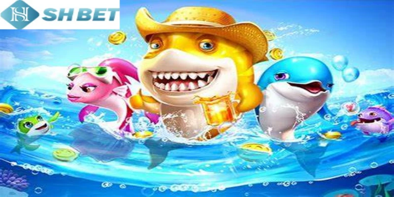 Theo dõi các loại cá phong phú và đa dạng tại săn cá đảo chuẩn