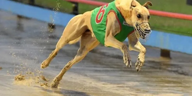 Những mẹo chơi nổ hũ hiệu quả nhất