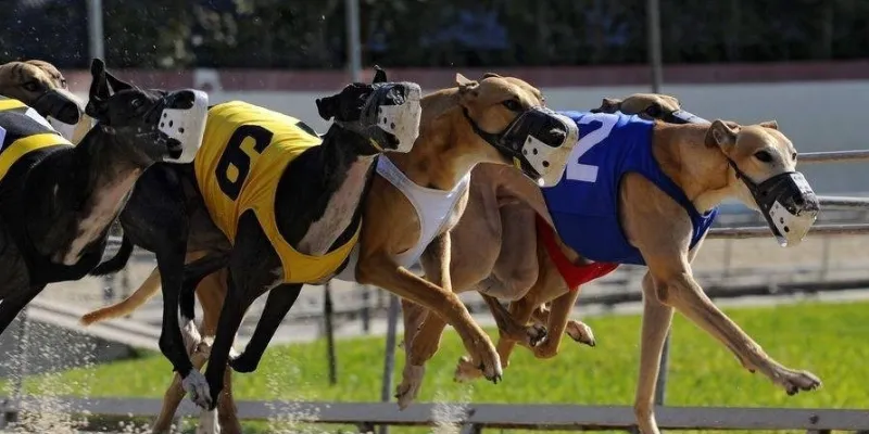 Những lỗi thường gặp trong mẹo chơi nổ hũ