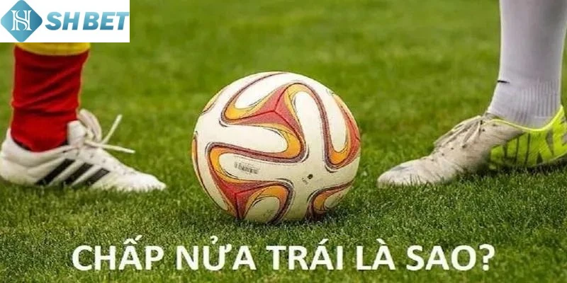 Mọi thành viên cược bóng đá cần phân tích phong độ của các đội