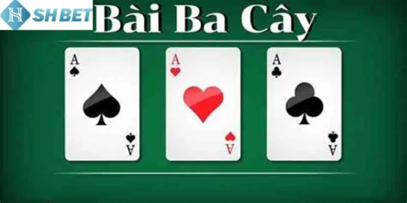 Hãy nằm lòng ngay các mẹo chơi bài ba cây hiệu quả nhất cho người mới