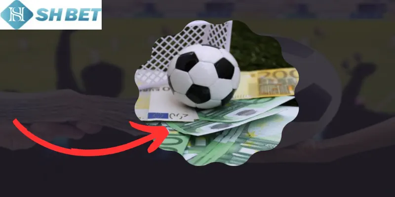 Chú ý đến kinh nghiệm soi kèo chuẩn từ chuyên gia hàng đầu thị trường