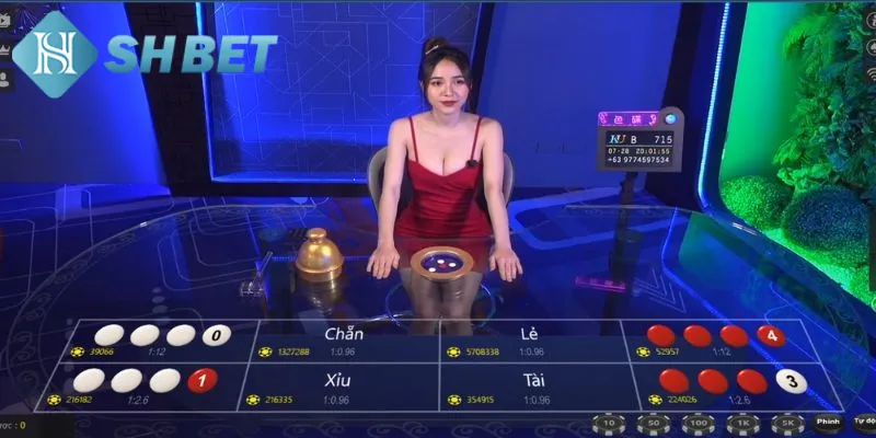 Tìm hiểu về xóc đĩa bịp