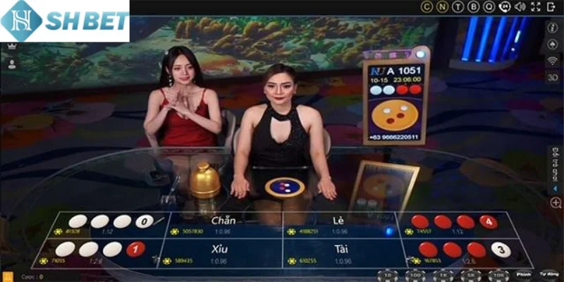 Xóc đĩa chẵn lẻ thu hút hàng triệu thành viên tại Shbet