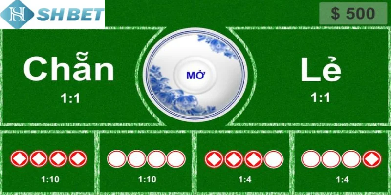 Áp dụng các chiến thuật chơi xóc đĩa dạng chẵn lẻ hiệu quả nhất