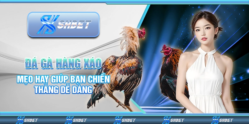 Đá Gà Hàng Xáo - Mẹo Hay Giúp Bạn Chiến Thắng Dễ Dàng