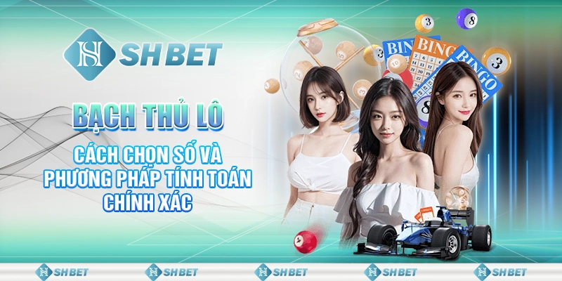 Bạch Thủ Lô: Cách Chọn Số Và Phương Pháp Tính Toán Chính Xác