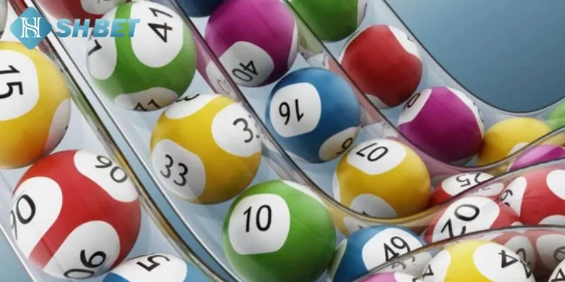 Bạch thủ lô là gì?