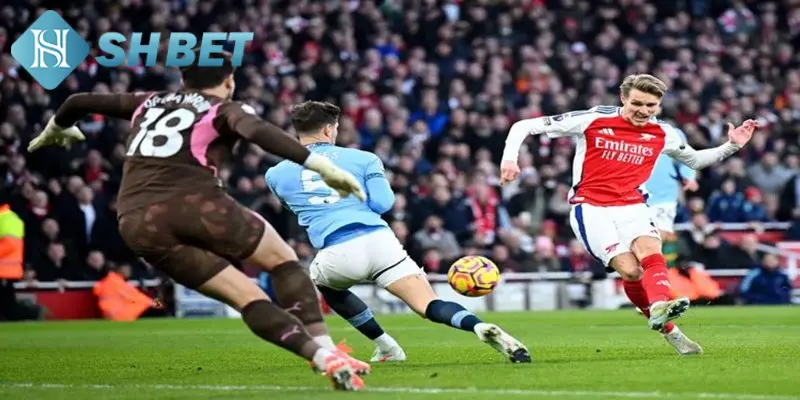 Đá gà cựa dao: Giới thiệu