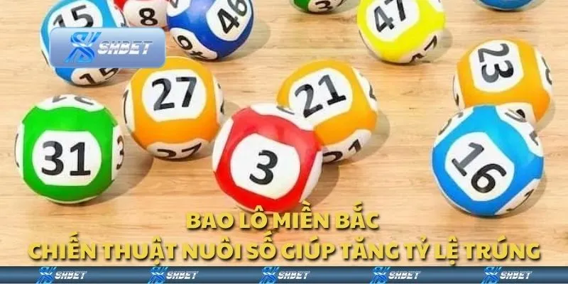 Bao lô miền bắc - Chiến thuật nuôi số giúp tăng tỷ lệ trúng
