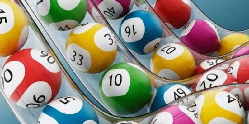 Tìm hiểu cơ bản về nuôi lô khung 3 ngày