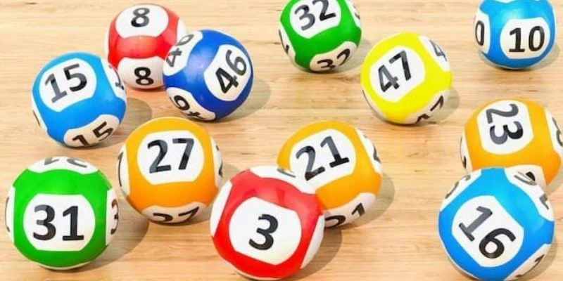 Cách nuôi lô khung 3 ngày hiệu quả hàng đầu