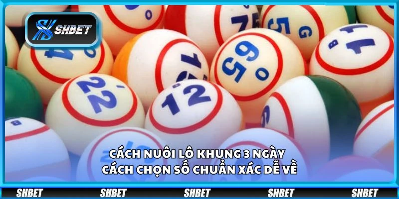 Cách nuôi lô khung 3 ngày - Cách chọn số chuẩn xác dễ về