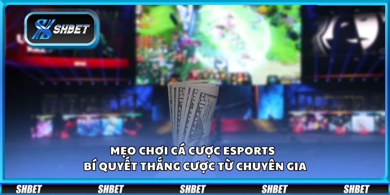 Mẹo chơi cá cược eSports - Bí quyết thắng cược từ chuyên gia