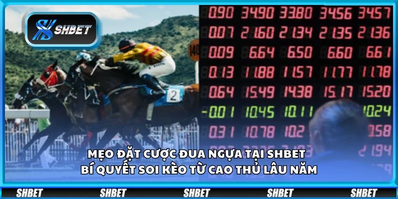 Mẹo đặt cược đua ngựa tại Shbet – Bí quyết soi kèo từ cao thủ lâu năm