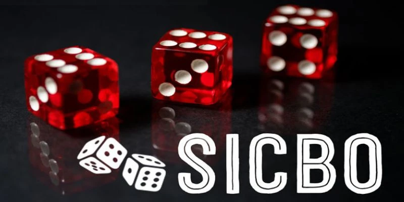 Tổng hợp các loại cầu Sicbo phổ biến
